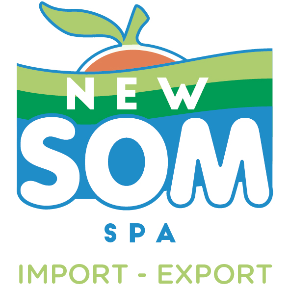 Logo New Som