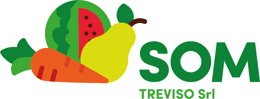 Som Treviso Logo